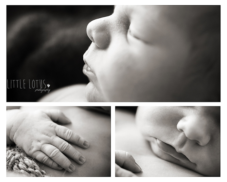 newborn details little lotus photograph