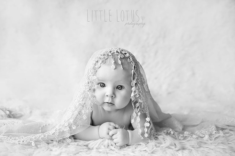 little lotus photography