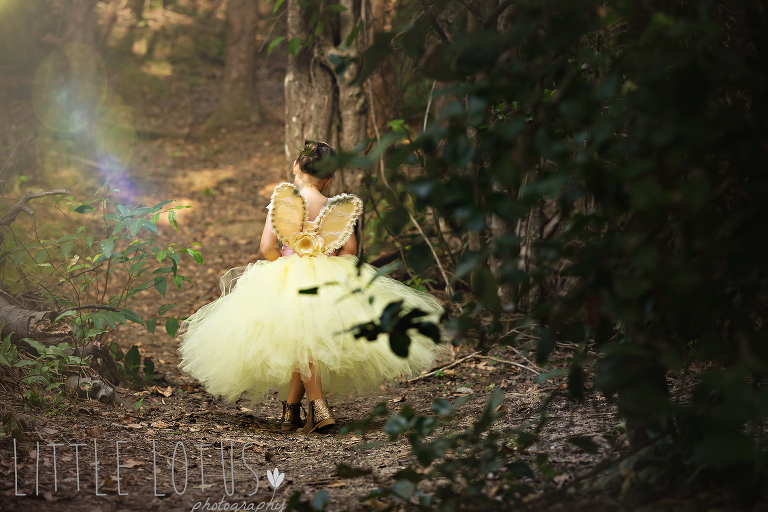 Little Lotus Photography Fairy photos